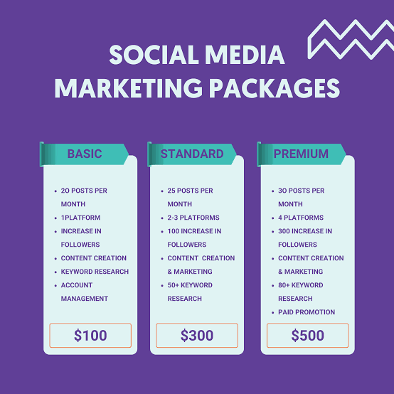 Social Media Marketing Monthly Management Package